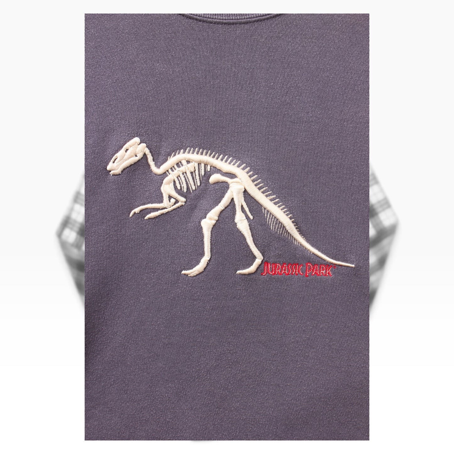 90s Jurassic park crewneck large