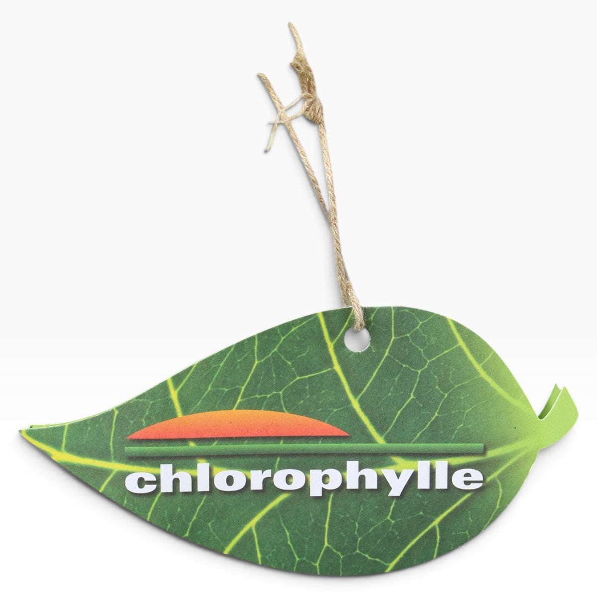 Chlorophylle linen rayon capri 30/18