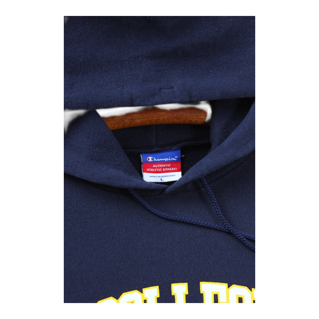 2000s The college of new jersey hoodie large