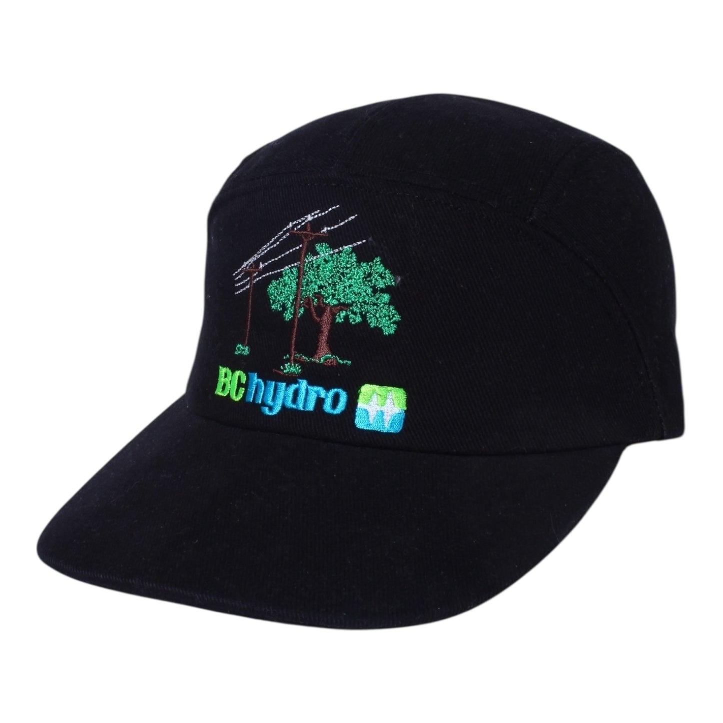 90s BC hydro hat