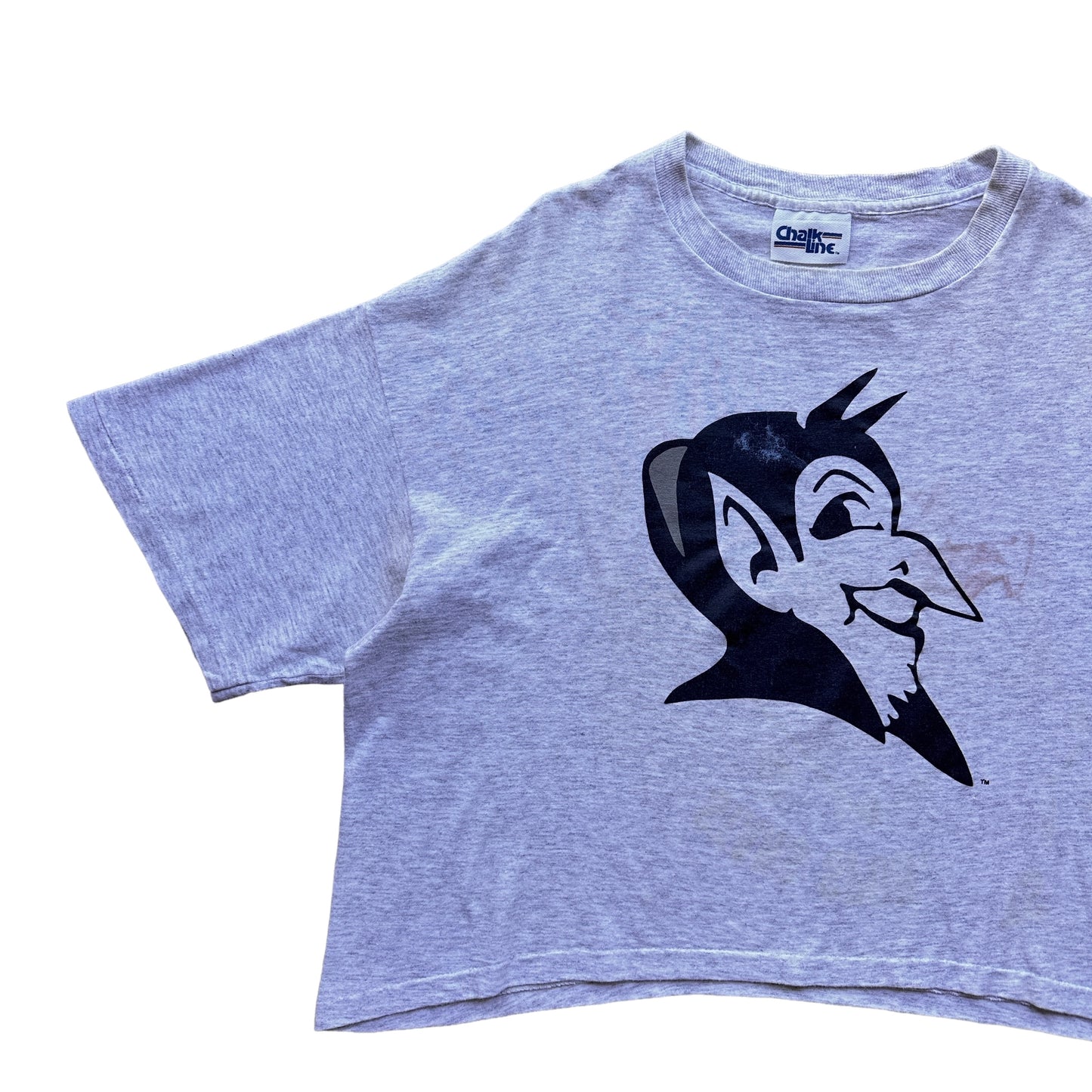 90s Duke university warm up crop top OSFA