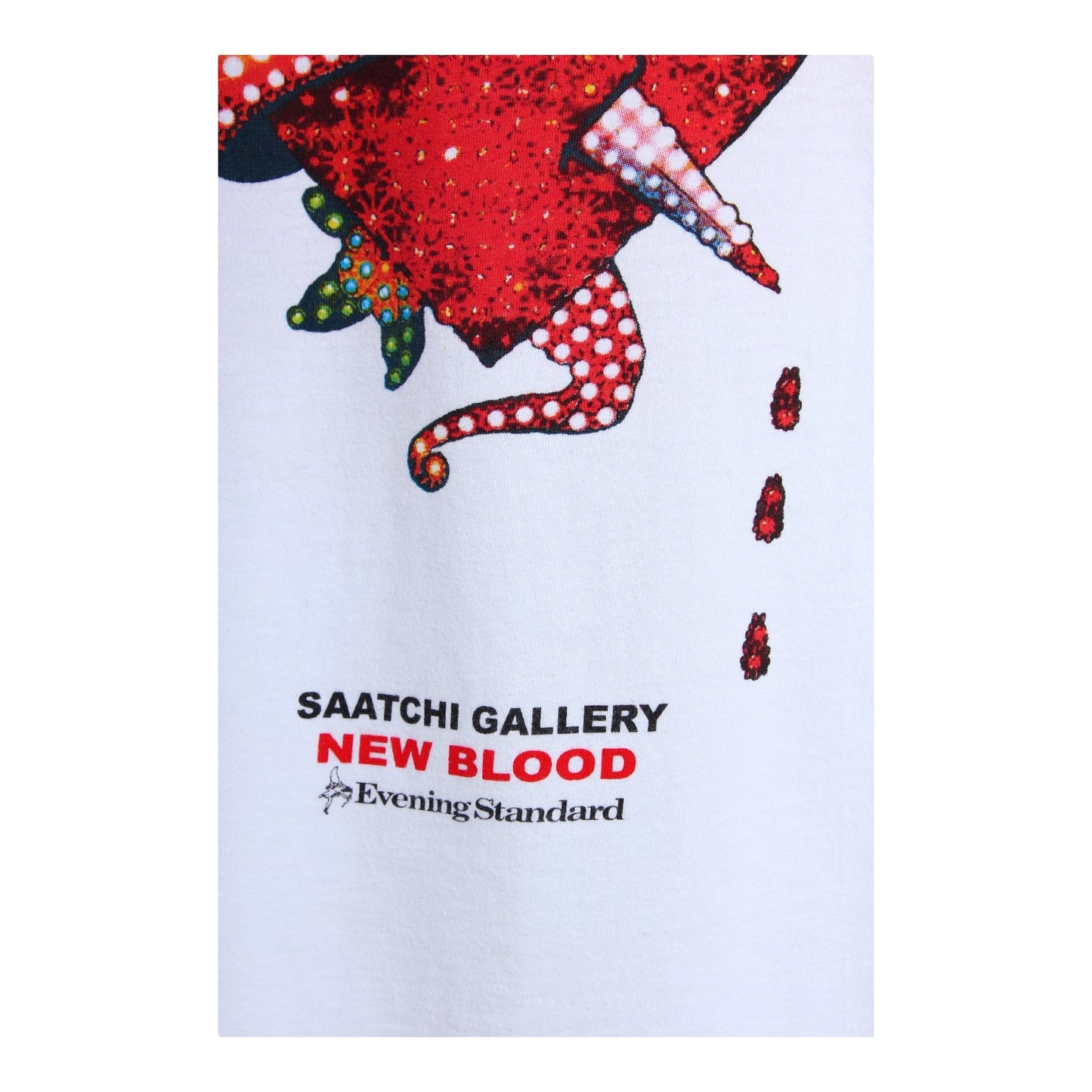 Saatchi gallery new blood tee small