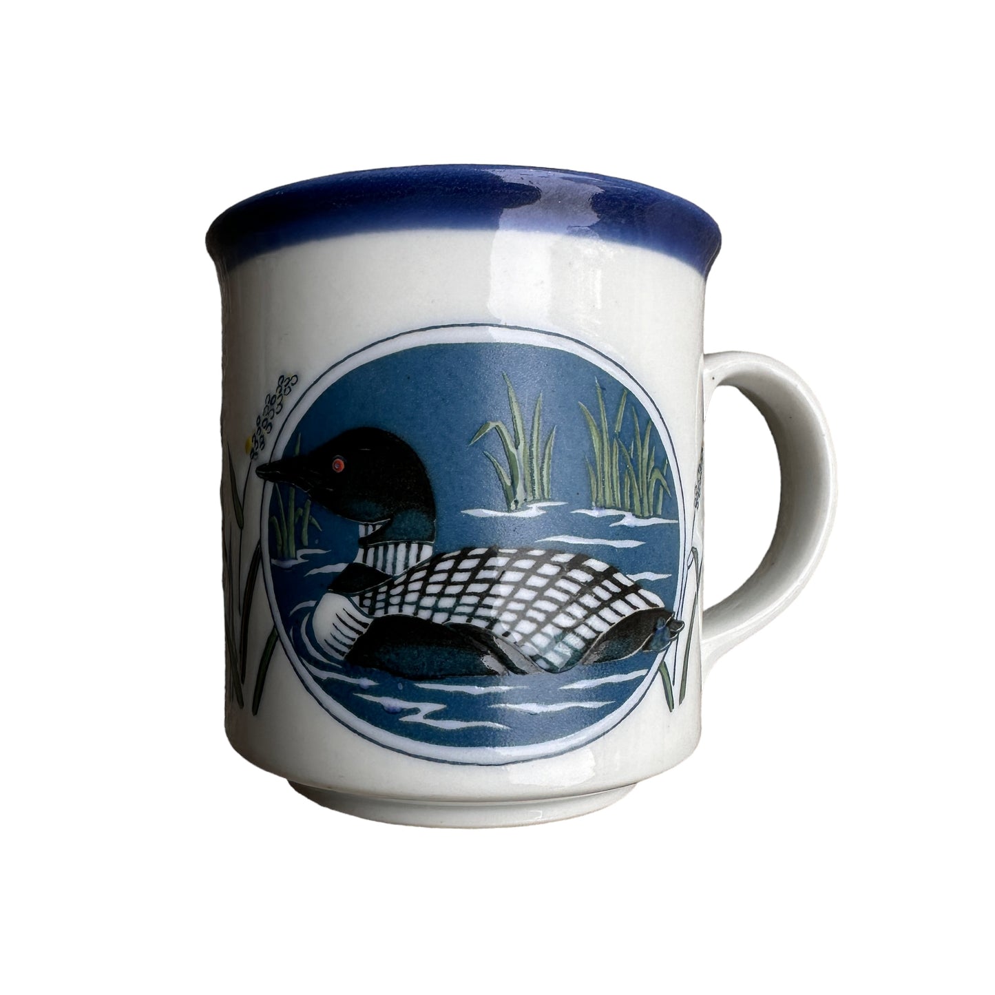 Loon mug maine