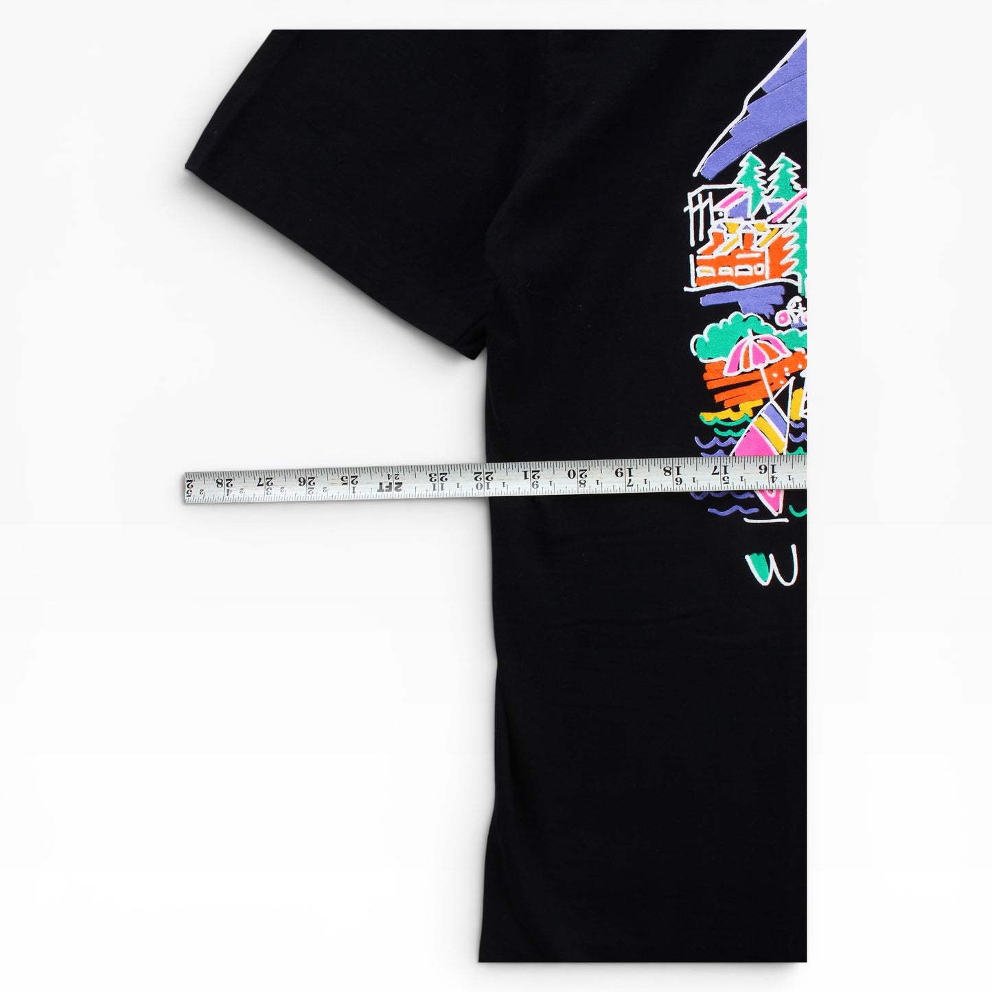 90s Day in the life whistler tee large