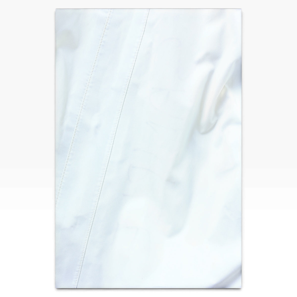 Burton Analog imperium snow pant sample