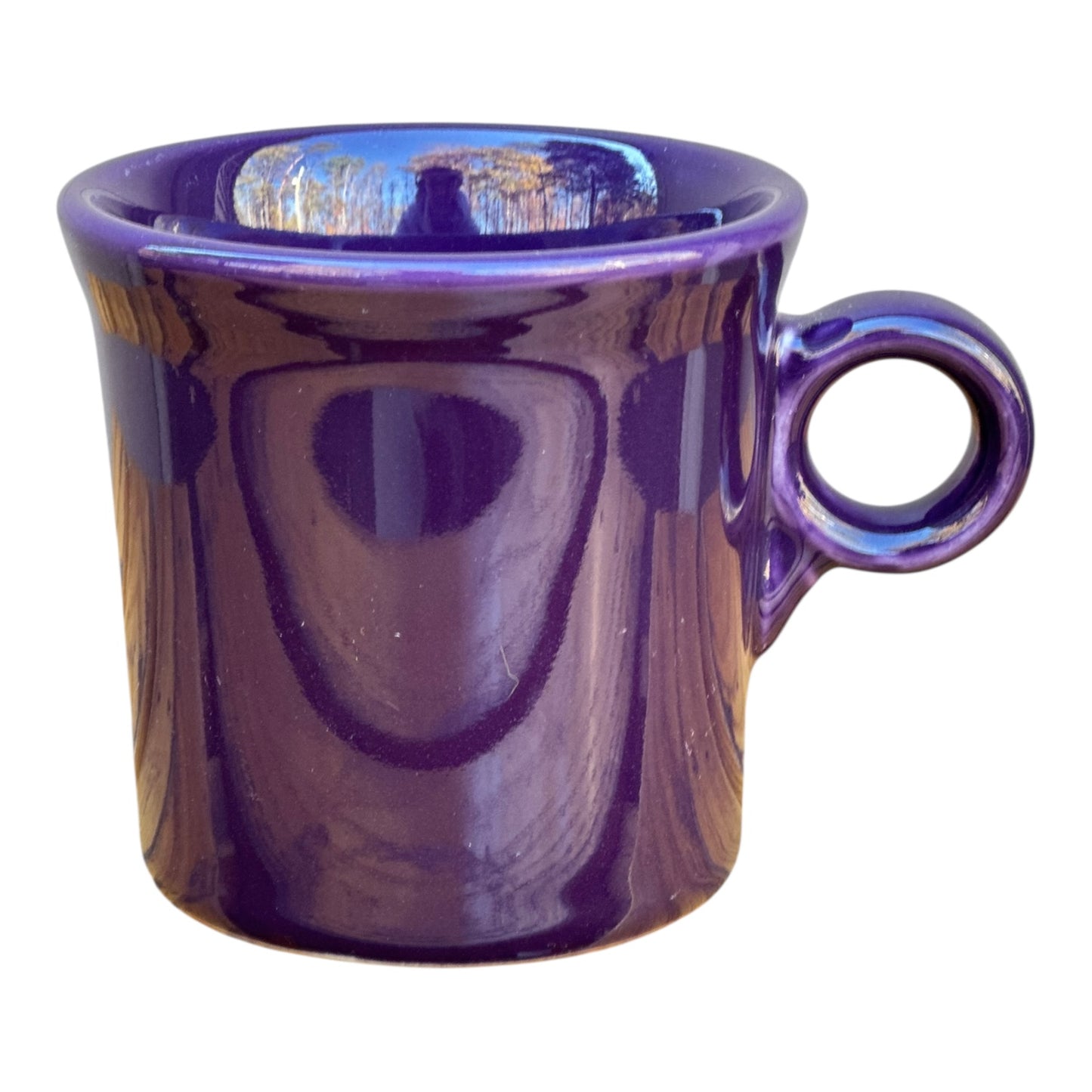 Fiesta ware mug
