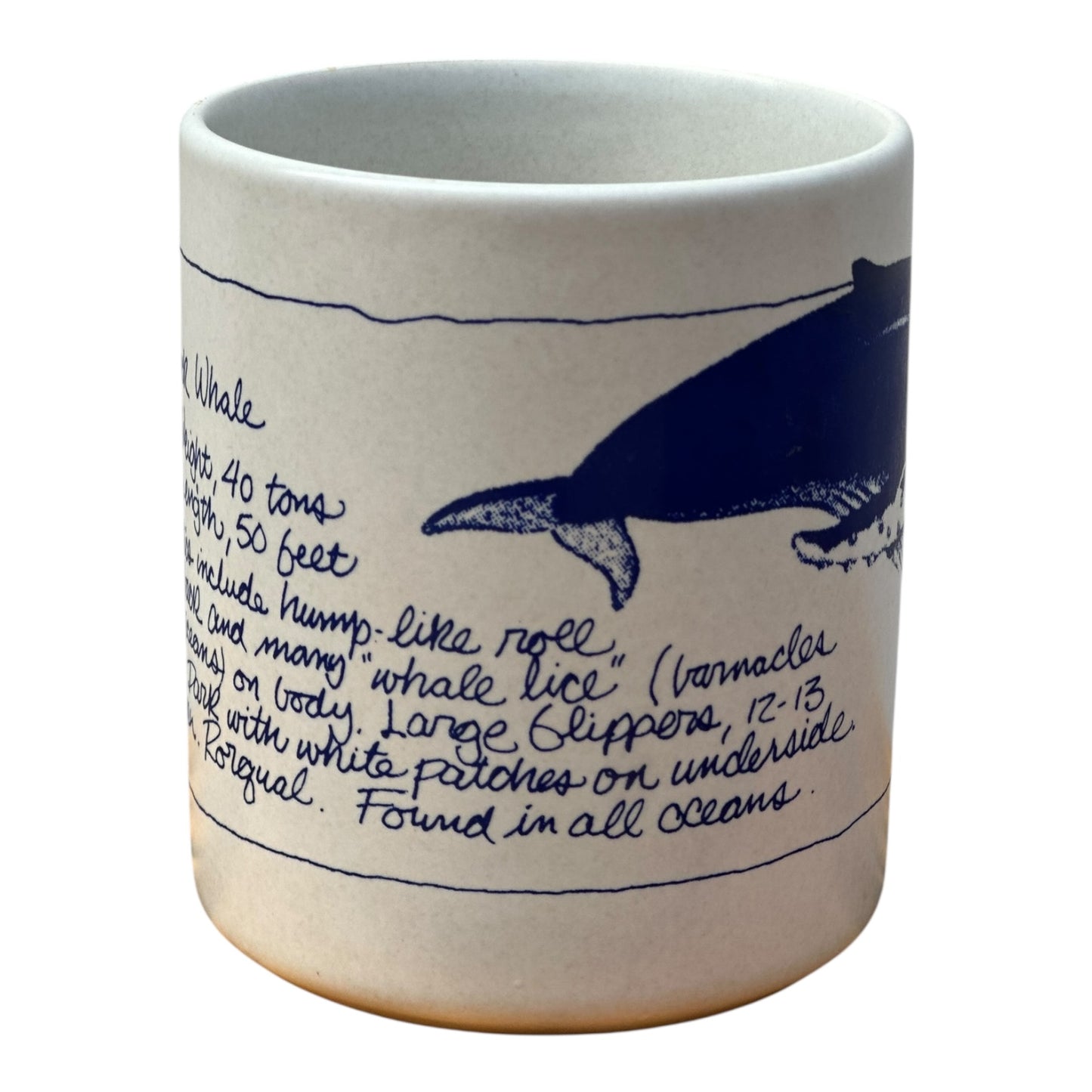 1989 hart design studio Humpback whale mug