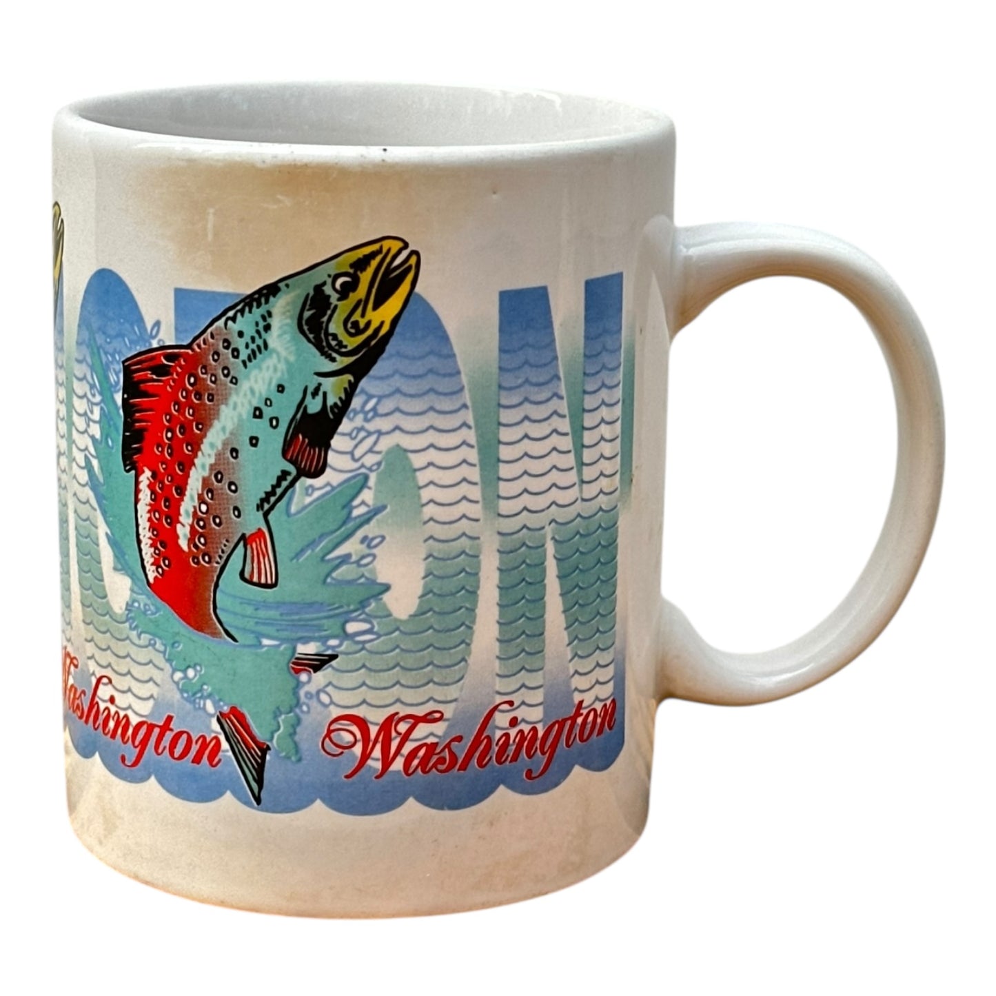 Salmon washington mug