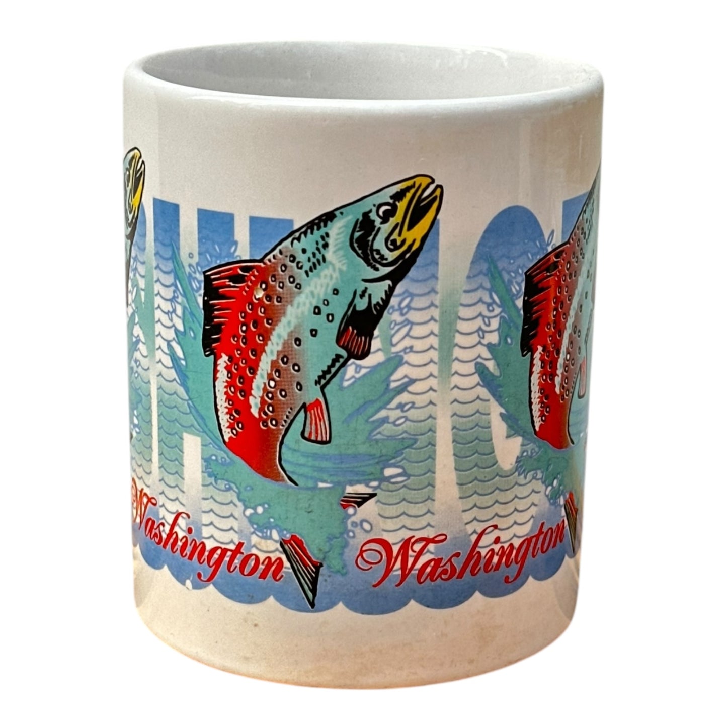 Salmon washington mug