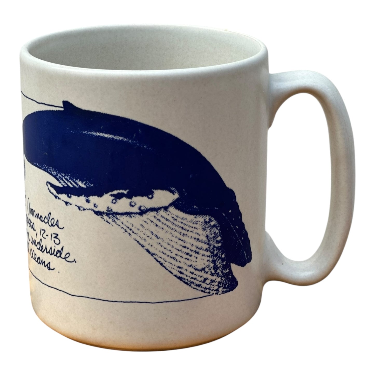 1989 hart design studio Humpback whale mug