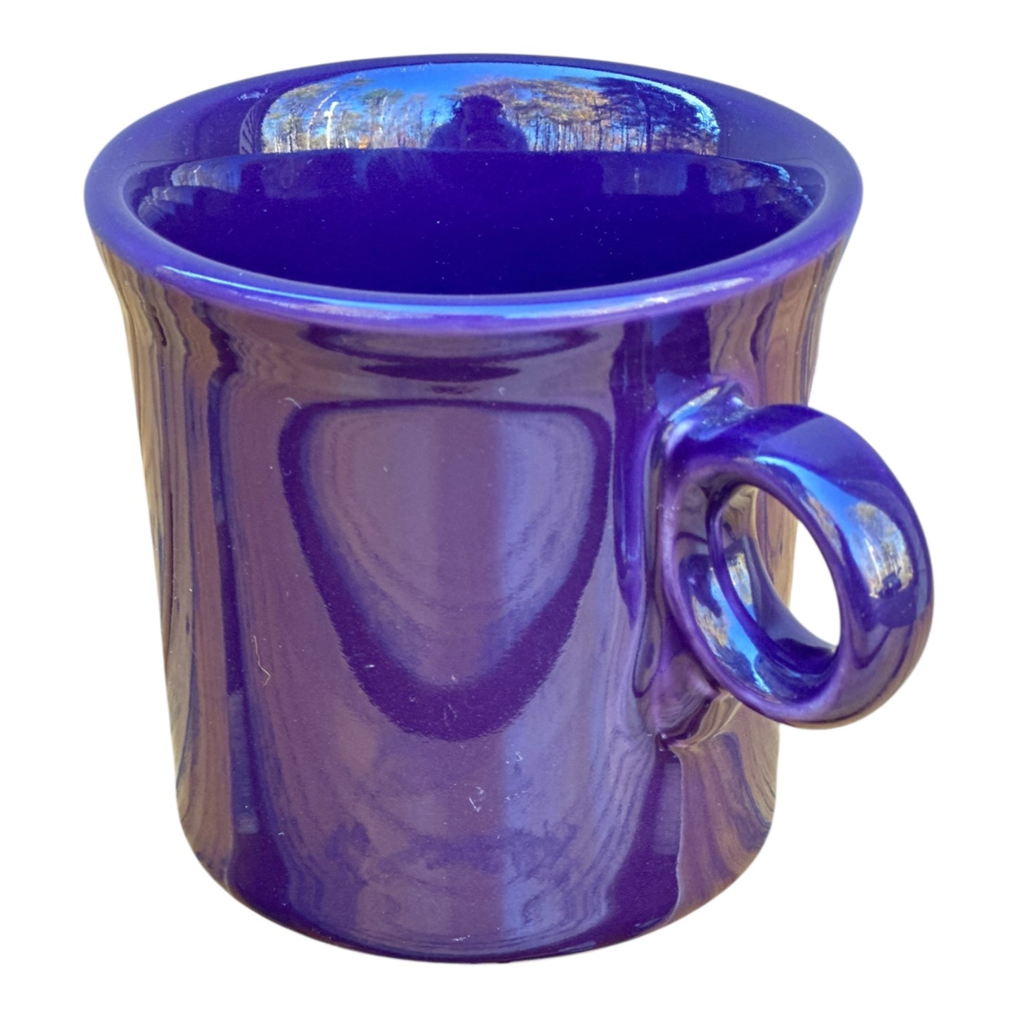 Fiesta ware mug