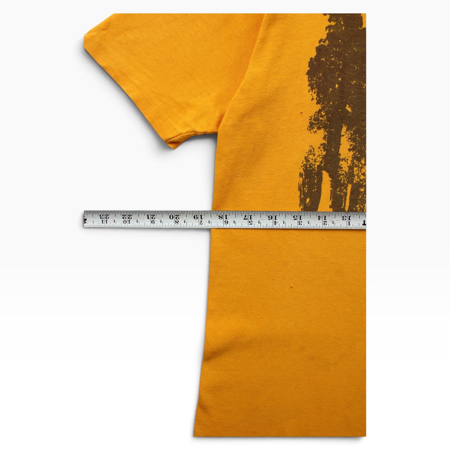 80s Sequoia and kings canyon california small