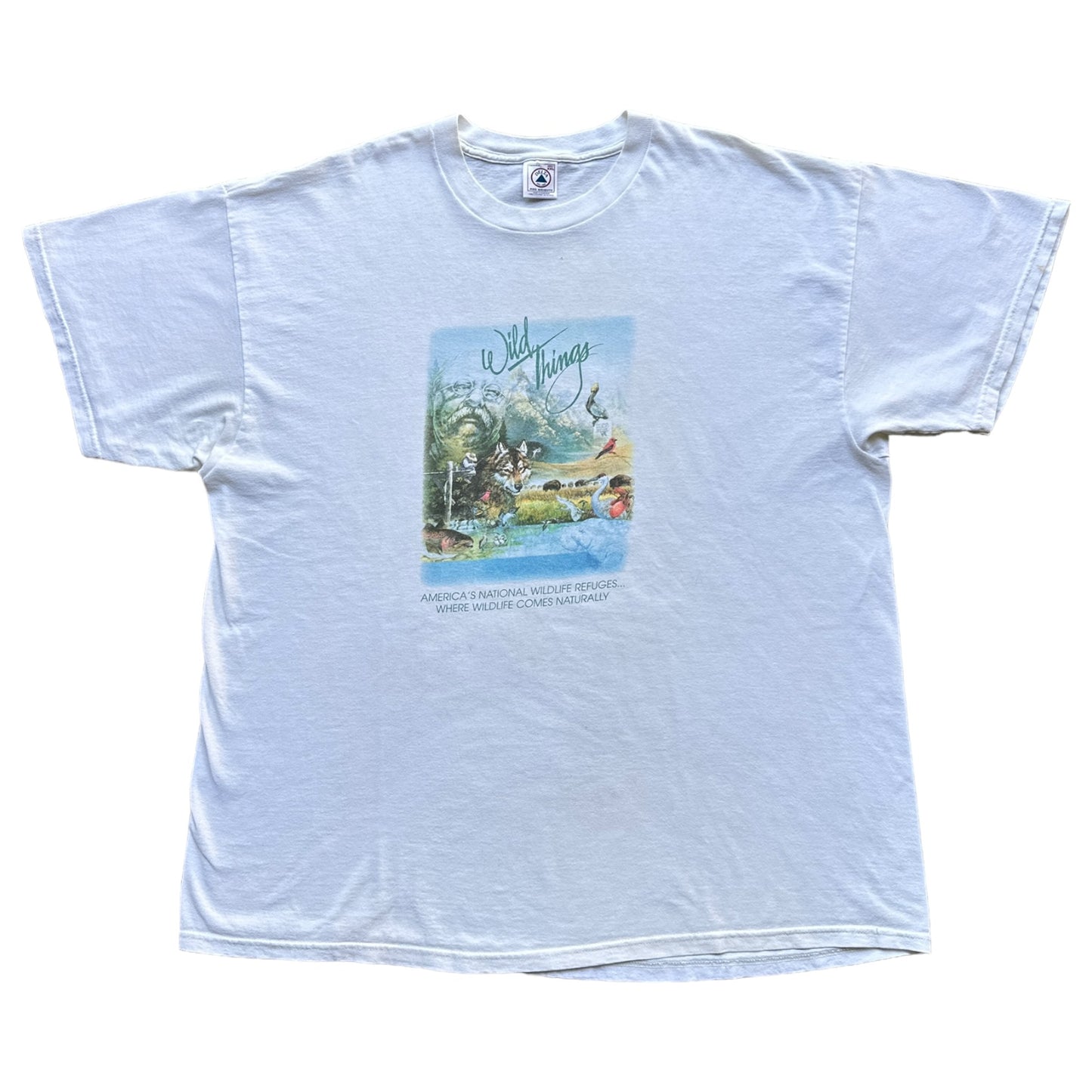 Wild things teddy Rosevelt tee XXL