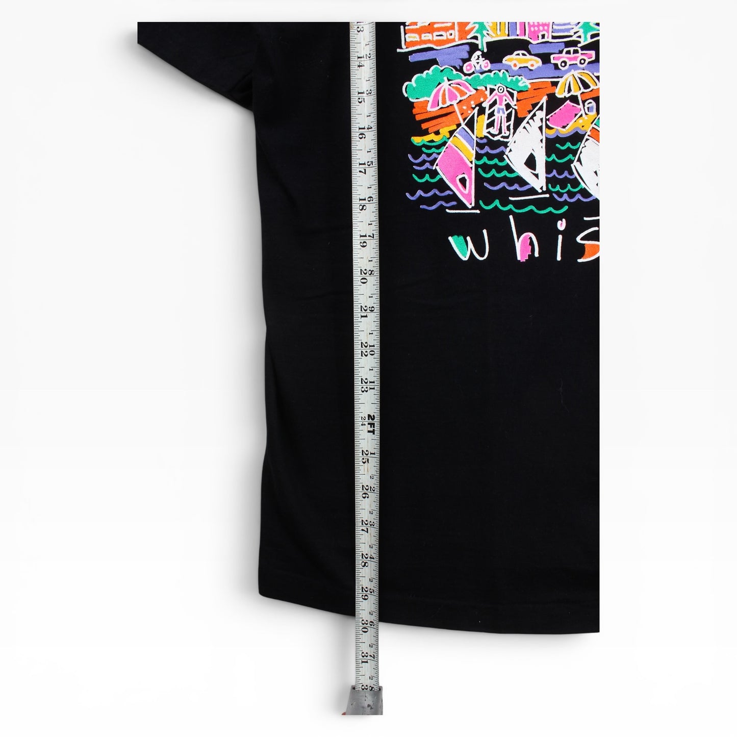 90s Day in the life whistler tee large