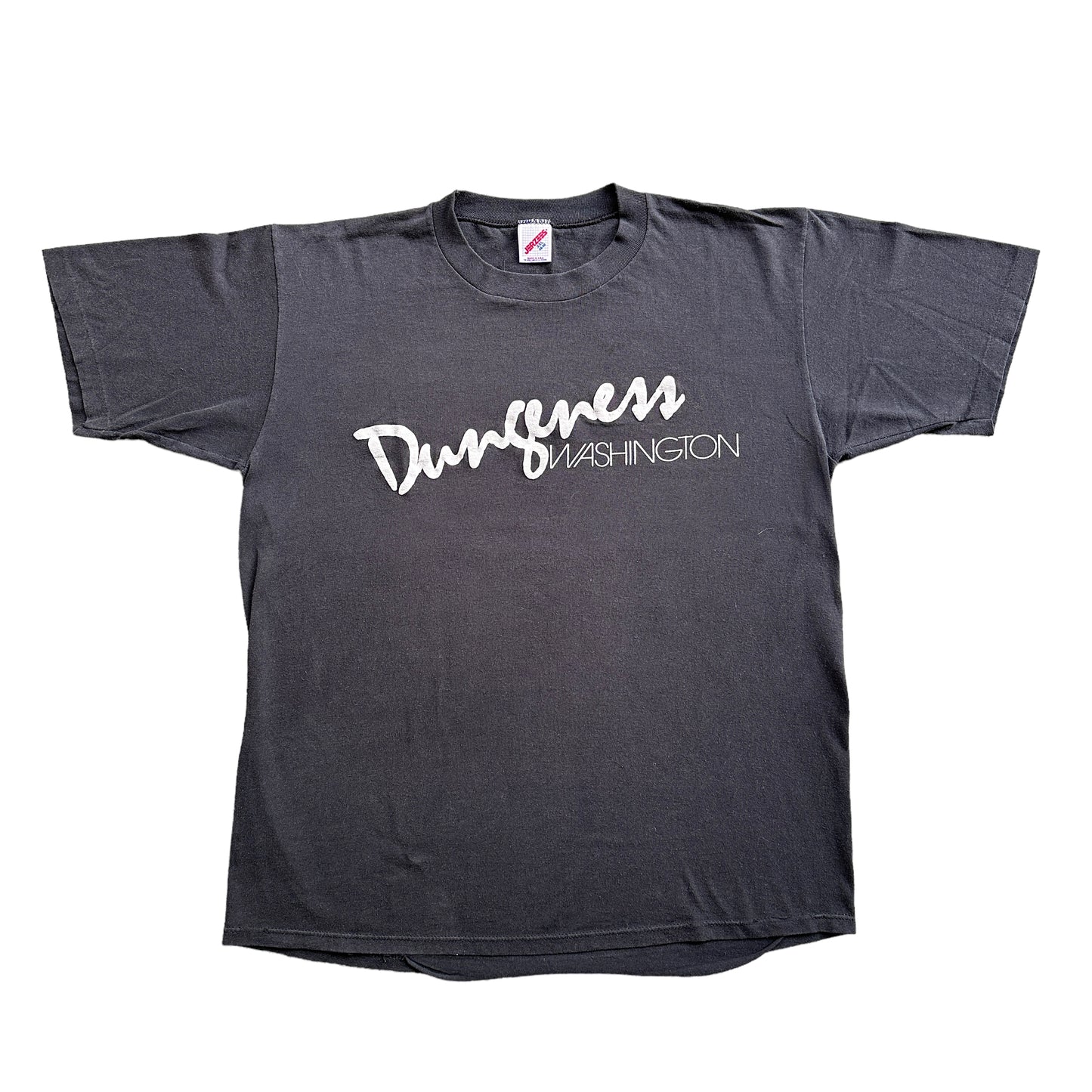 90s Dungeness washington tee XL