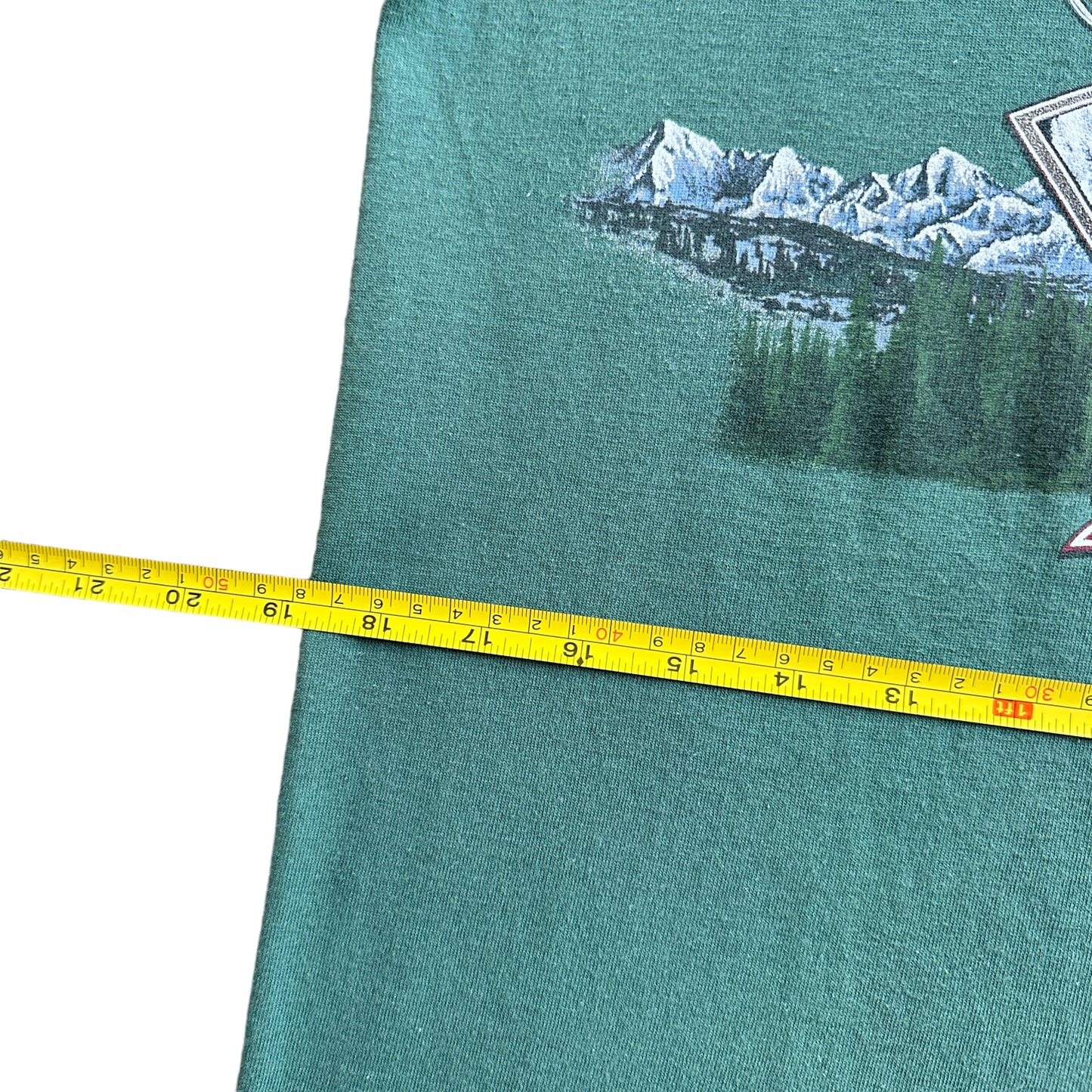 90s Hurricane ridge tee S/M