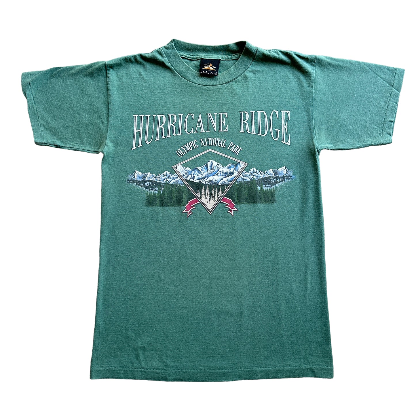 90s Hurricane ridge tee S/M