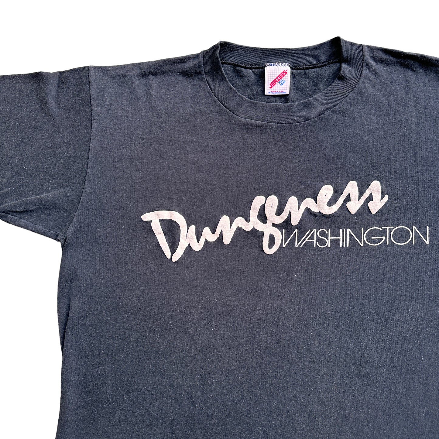 90s Dungeness washington tee XL