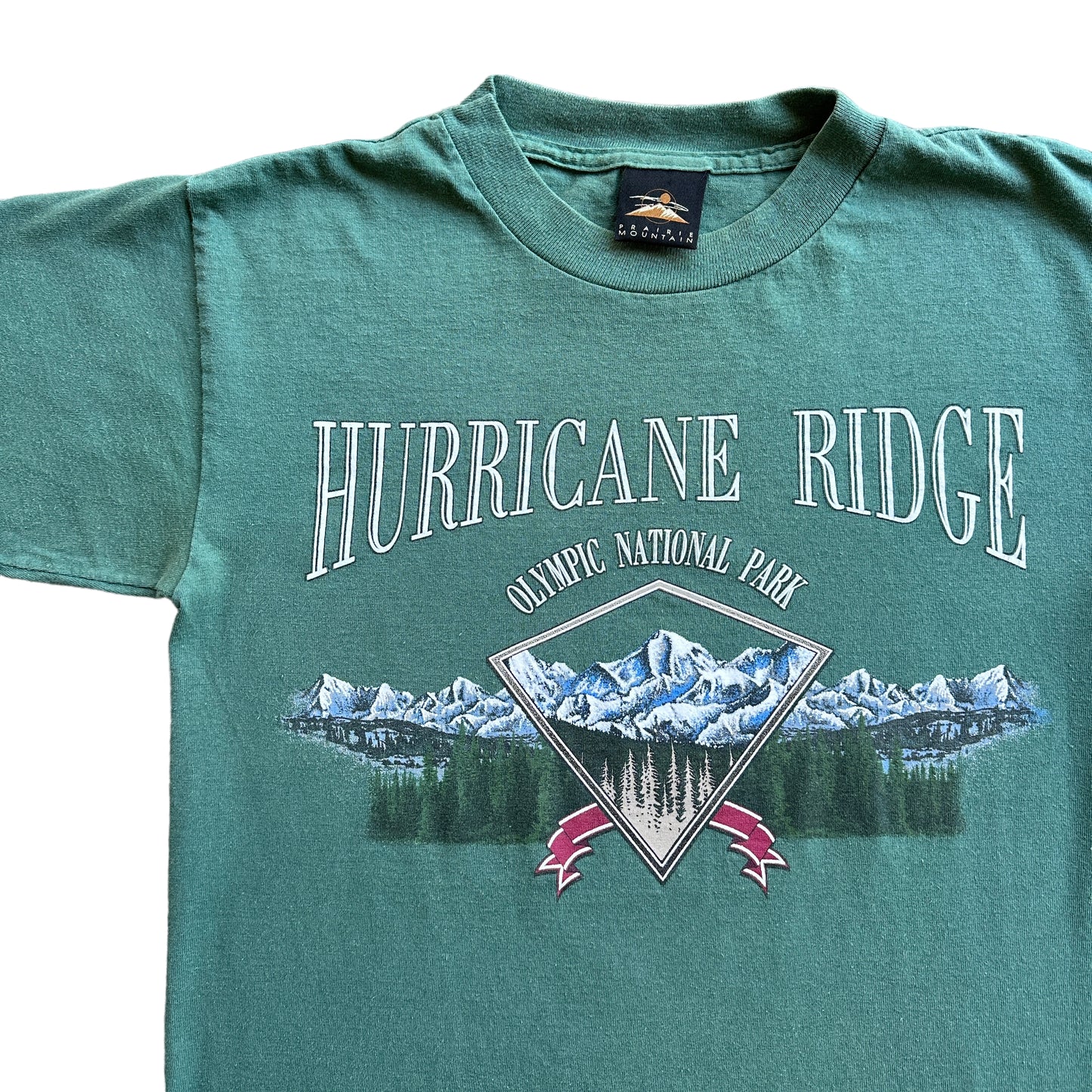 90s Hurricane ridge tee S/M