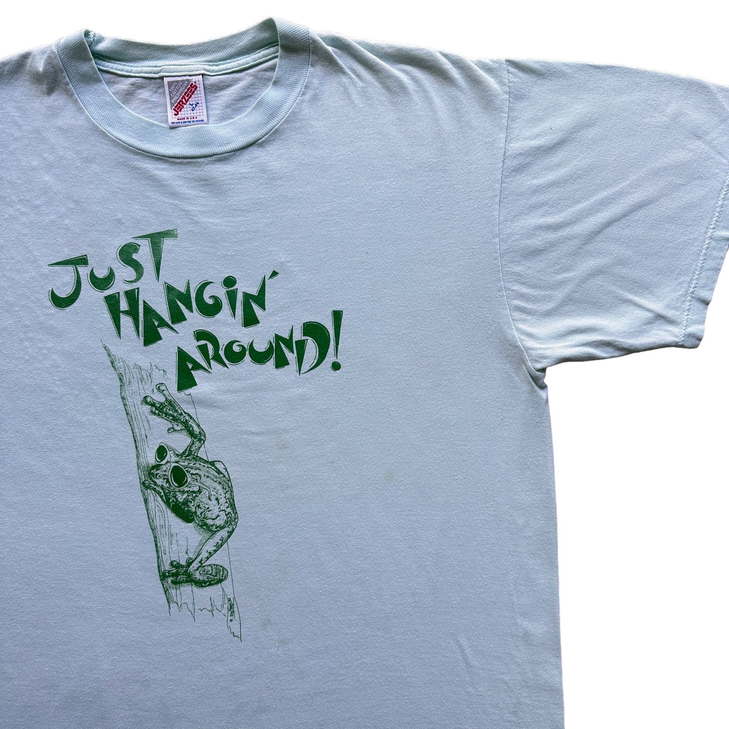 90s Just hanging around tree frog tee M/L