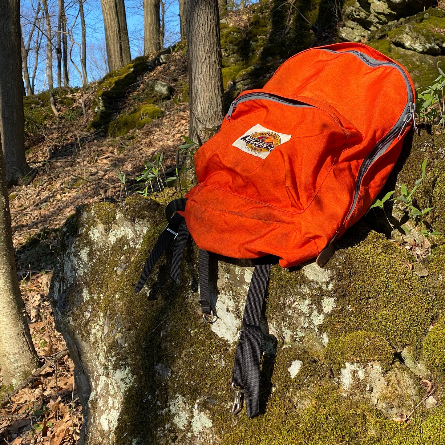 80s Class 5 backpack – Vintage Sponsor