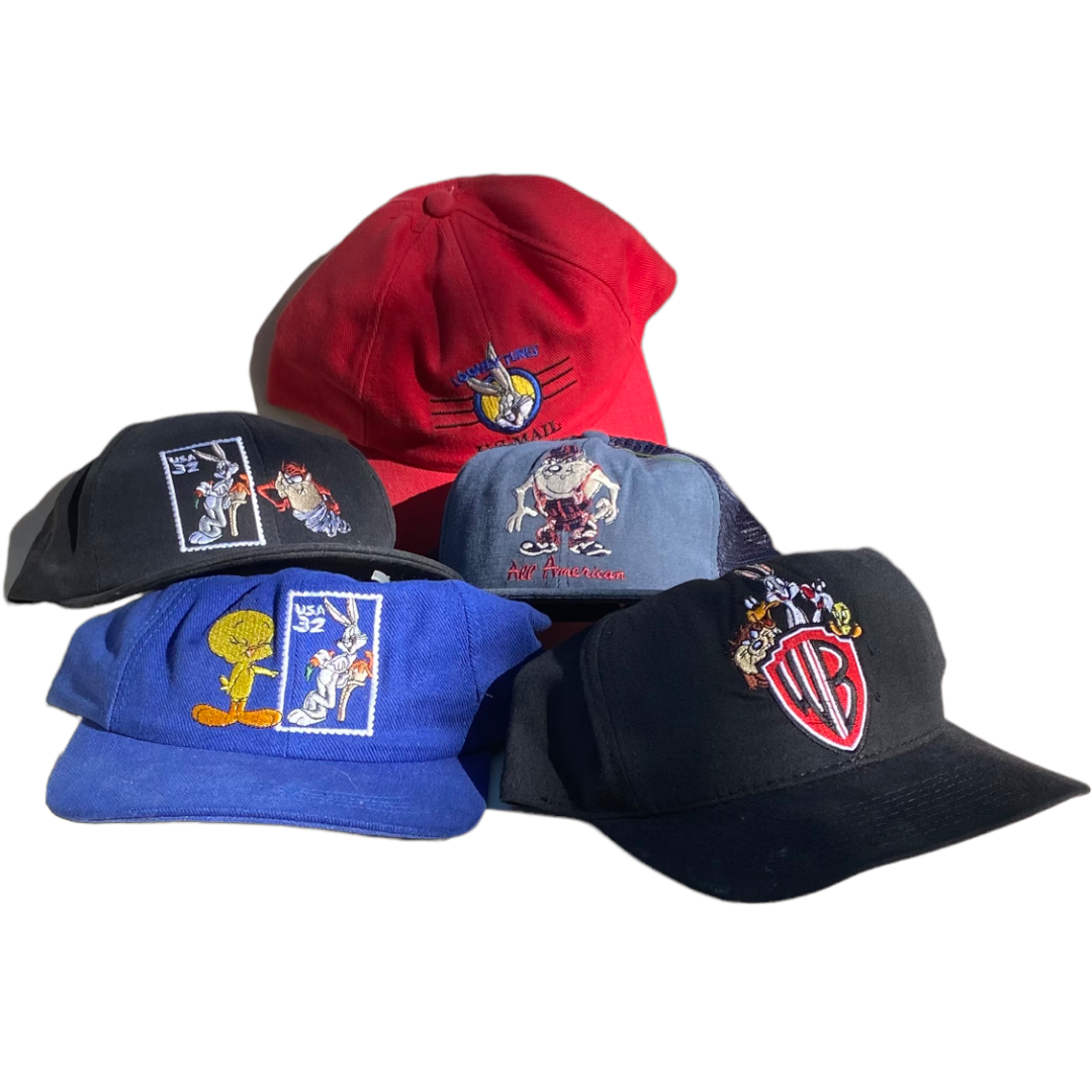 Warner bros hat - Various