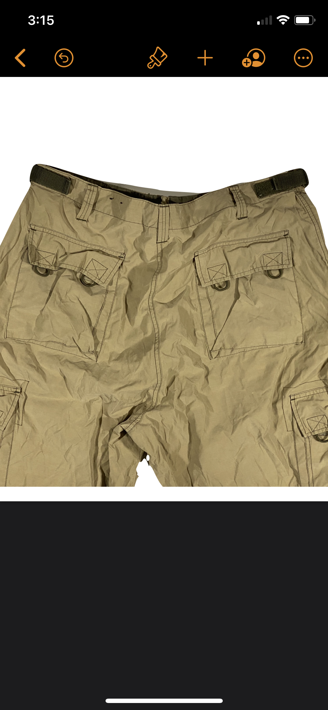 Cynch cargos. 38/30