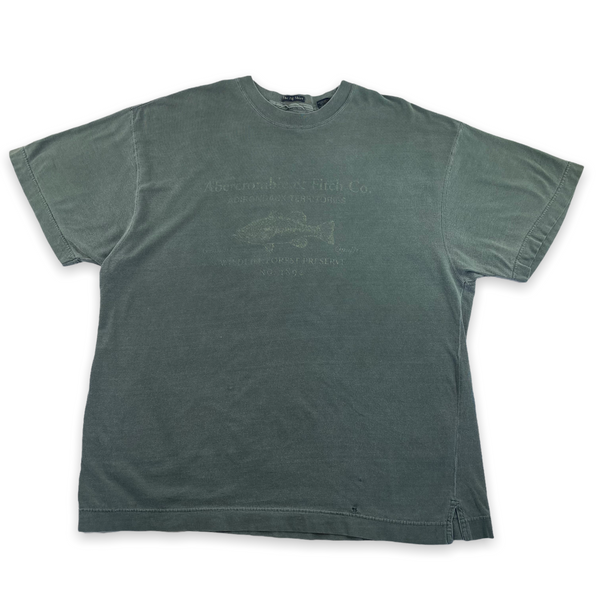 Abercrombie & Fitch small scale T-shirt in darkest spruce