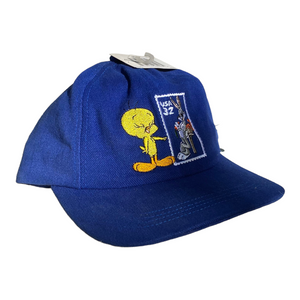 Warner bros hat - Various